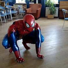 Человек-паук, 2000 рублей